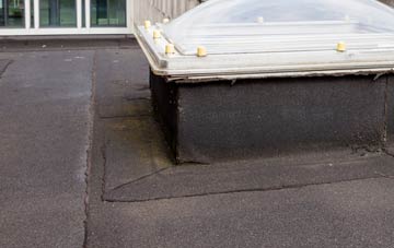 disadvantages of Lower Mountain flat roofs
